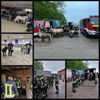 2023-05-11 Feuerwehr &uuml;bt Pferderettung auf dem Hof